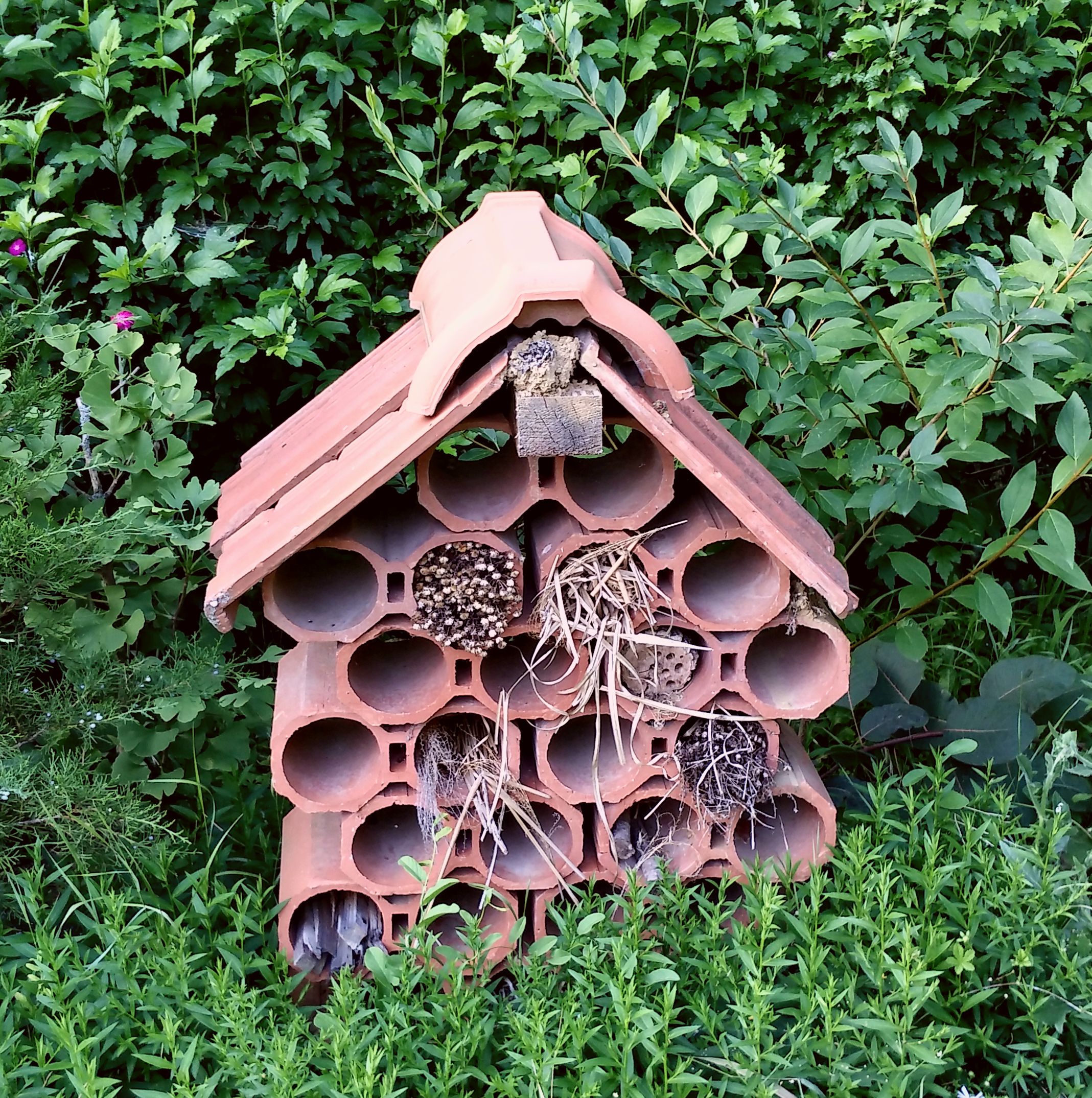 raise-local-biodiversity-make-an-insect-hotel-grow-a-green